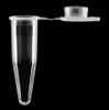 Custom Plastic Injection Mold for Thin-Walled Tubes with Frosted Flat Cap Frosted Flat Cap