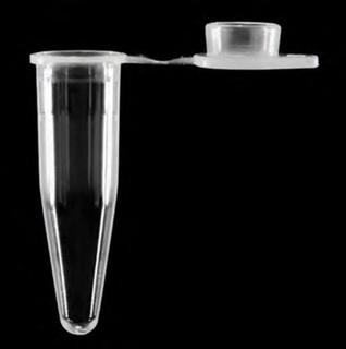 Custom Plastic Injection Mold for Thin-Walled Tubes with Frosted Flat Cap Frosted Flat Cap