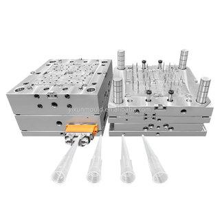 PP Material Medical Plastic Injection Mold Various Cavities