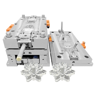 Certificated ISO9001 Injection Plastic Mold for Lotus Shaped Lens PMMA Material