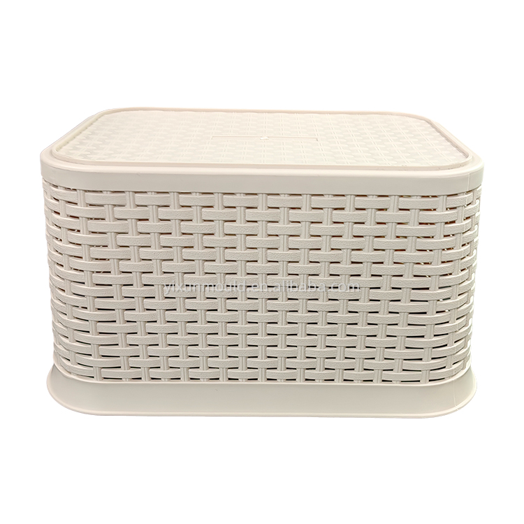 injection mold for plastic parts